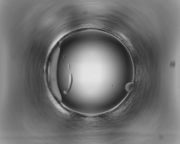 X0000094180796200710261130