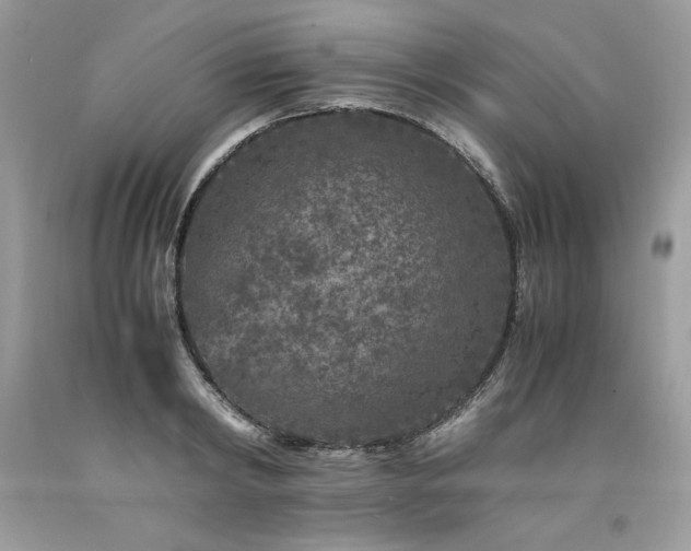 X0000094180798200710261130