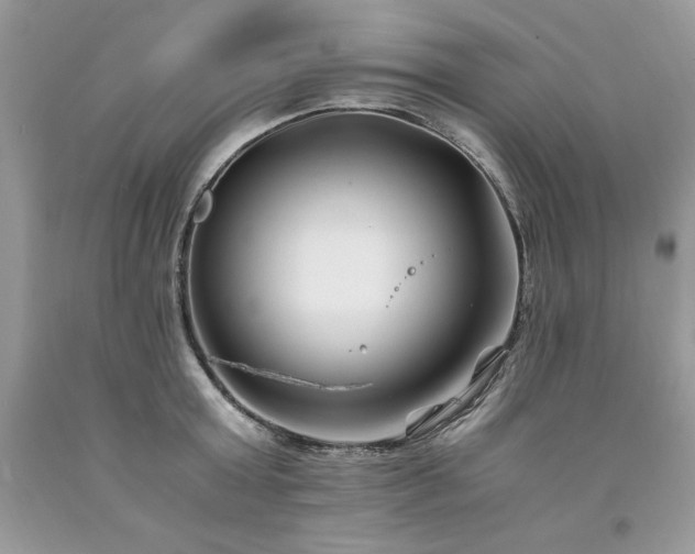 X0000094180803200710261130