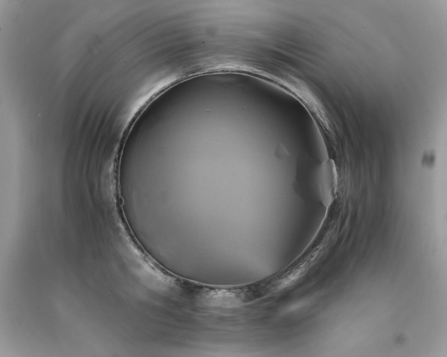 X0000094180806200710261130