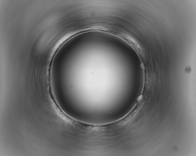 X0000094180808200710261130