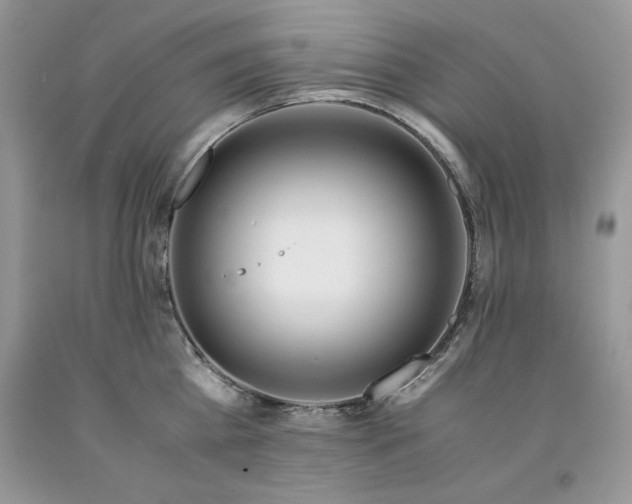 X0000094180809200710261130