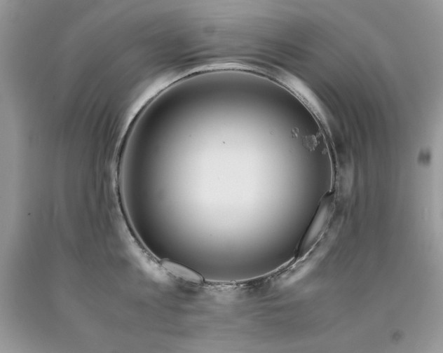 X0000094180813200710261130