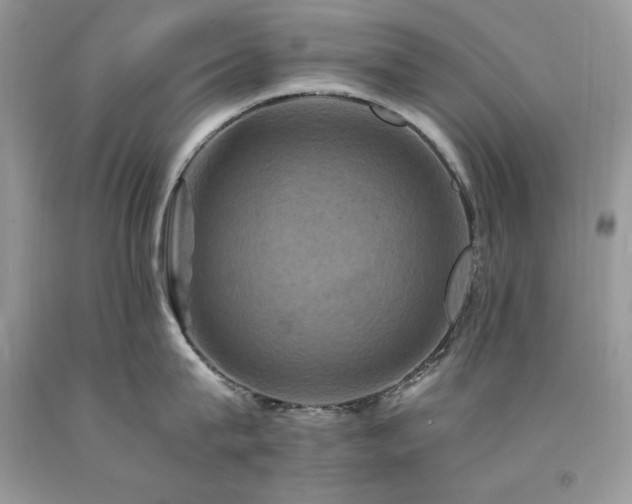 X0000094180815200710261130