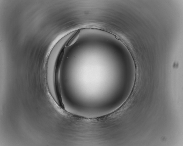 X0000094180816200710261130