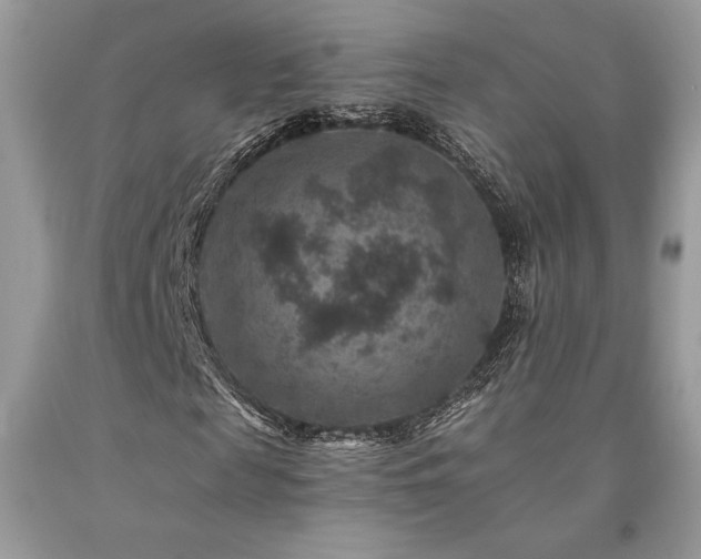 X0000094180817200710261129