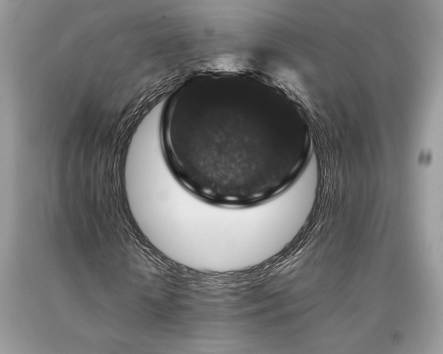 X0000094180818200710261129
