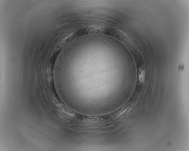 X0000094180819200710261129