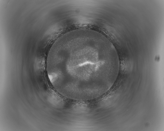 X0000094180820200710261129