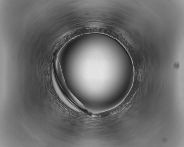 X0000094180821200710261129