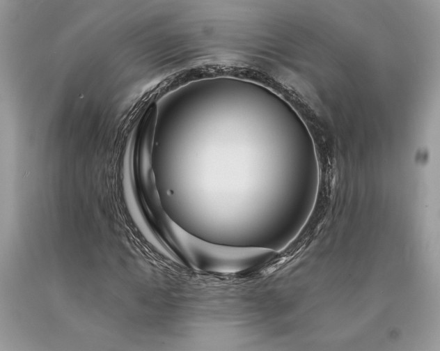 X0000094180822200710261129