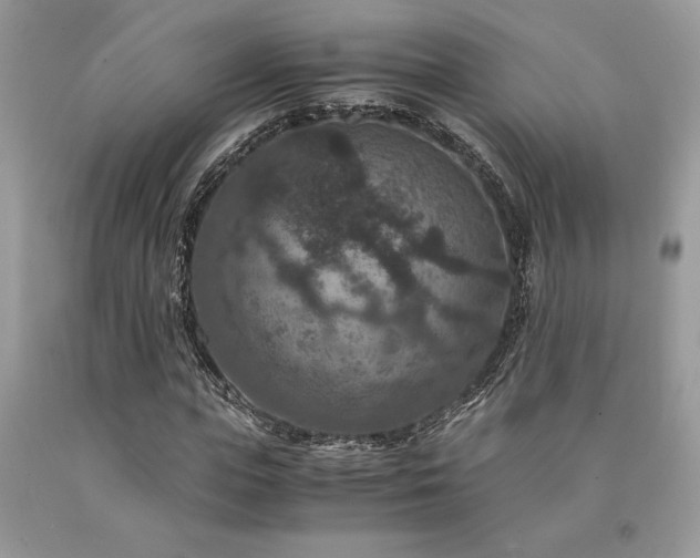 X0000094180823200710261129