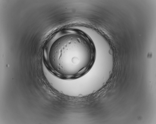 X0000094180824200710261129