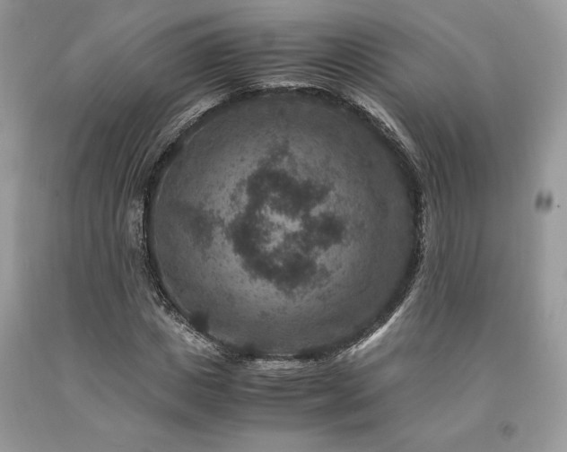 X0000094180825200710261129