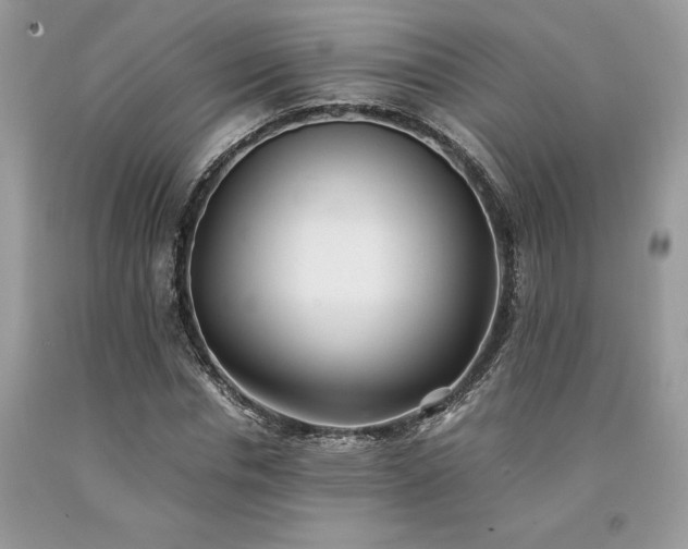 X0000094180826200710261129