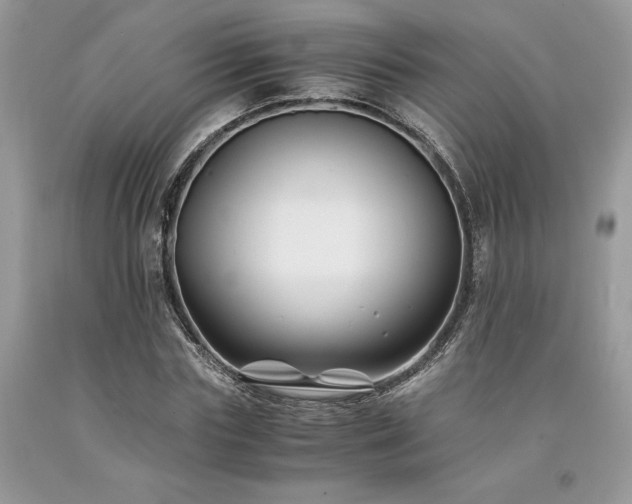 X0000094180827200710261129