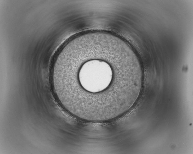 X0000094180828200710261129