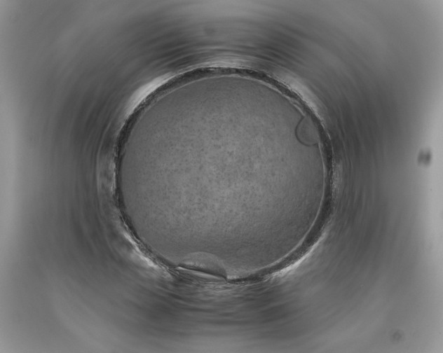 X0000094180829200710261129