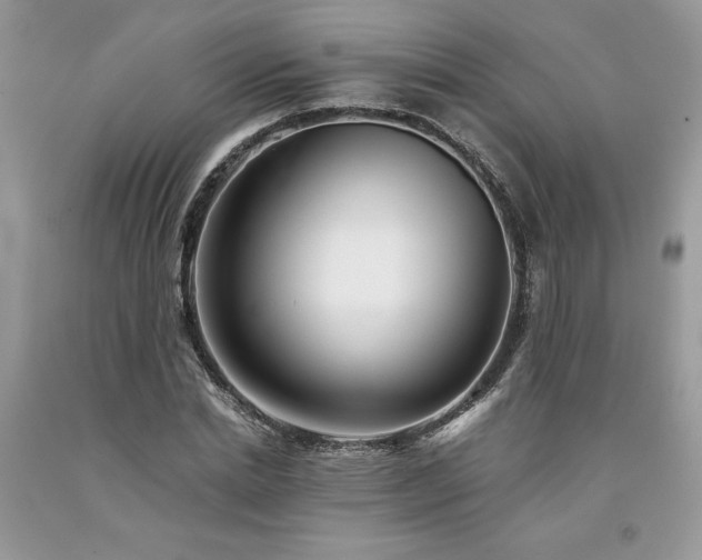 X0000094180830200710261129