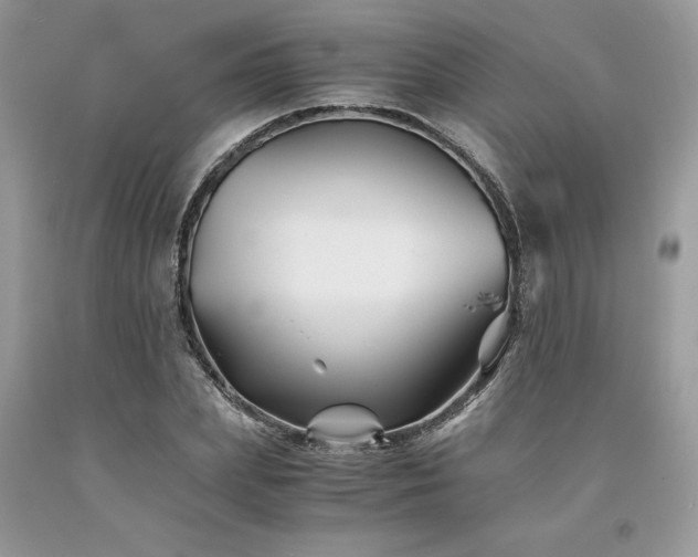 X0000094180831200710261130