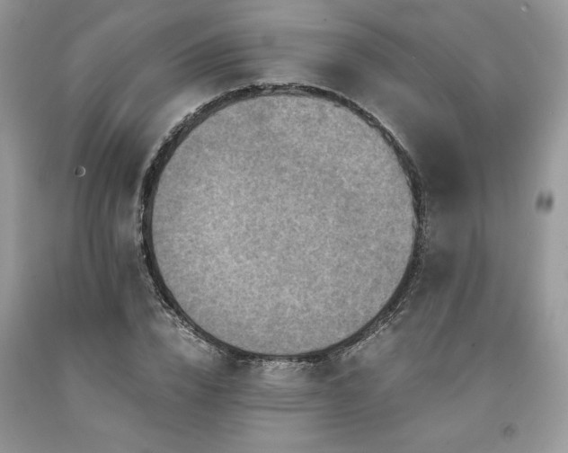 X0000094180832200710261130