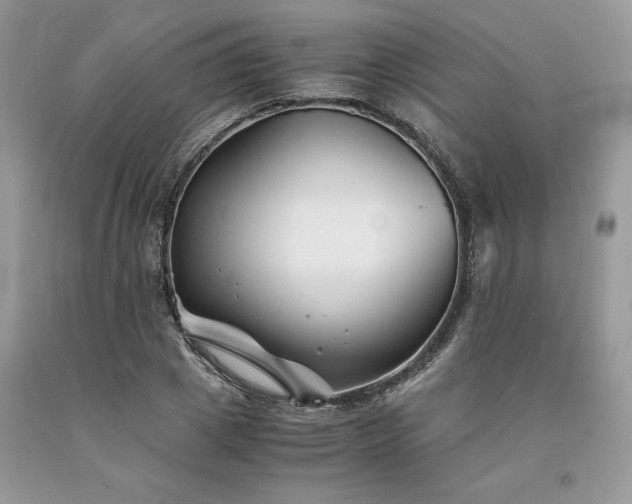 X0000094180833200710261130