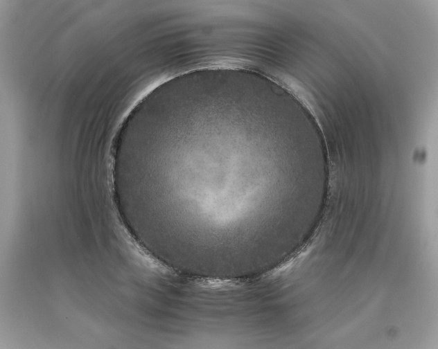 X0000094180835200710261130
