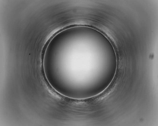 X0000094180837200710261130