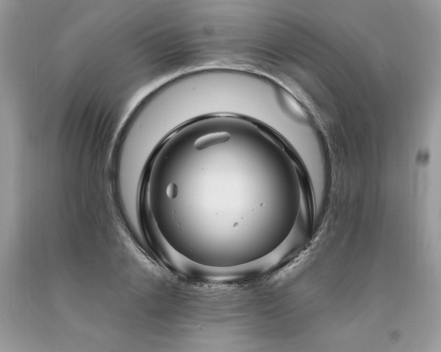 X0000094180838200710261130