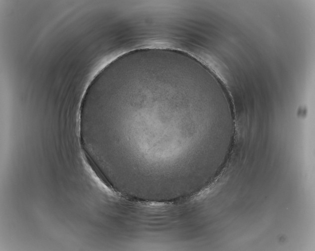 X0000094180839200710261130