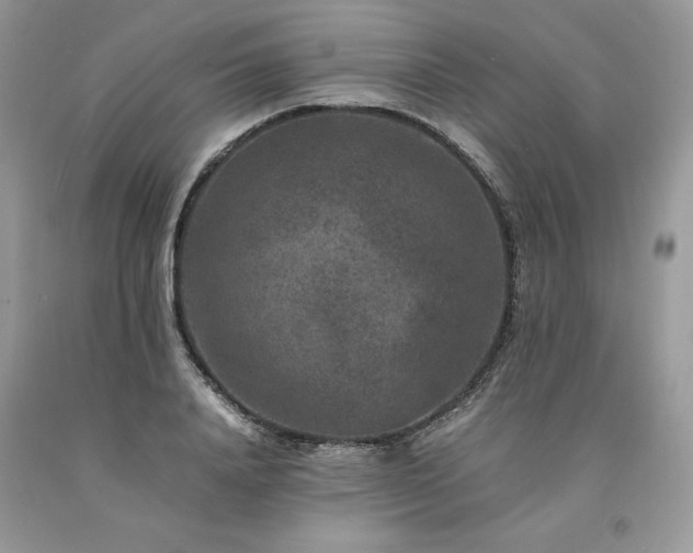 X0000094180840200710261130