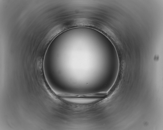 X0000094180841200710261130