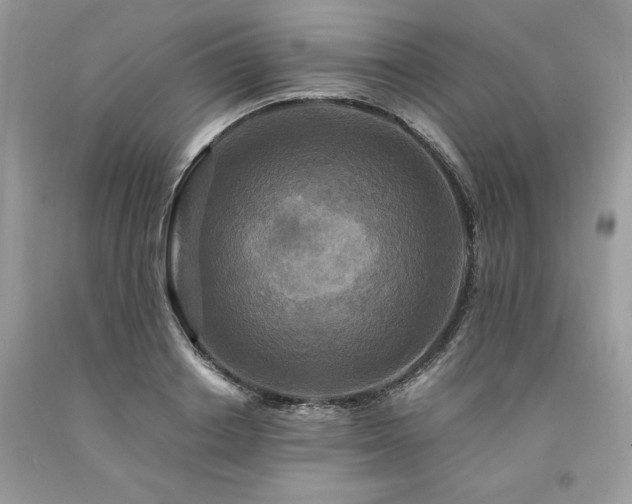 X0000094180842200710261130
