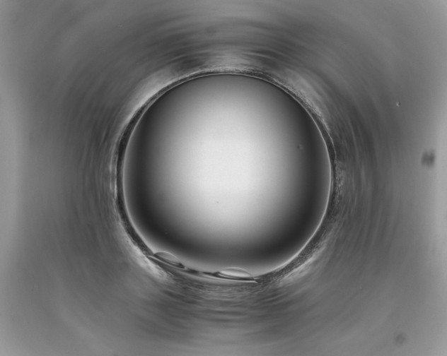 X0000094180843200710261130