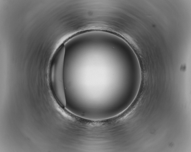 X0000094180846200710261130