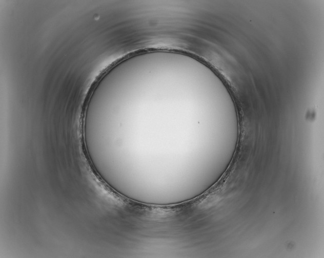 X0000094180848200710261130