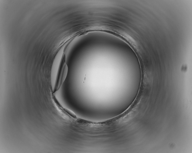 X0000094180849200710261130