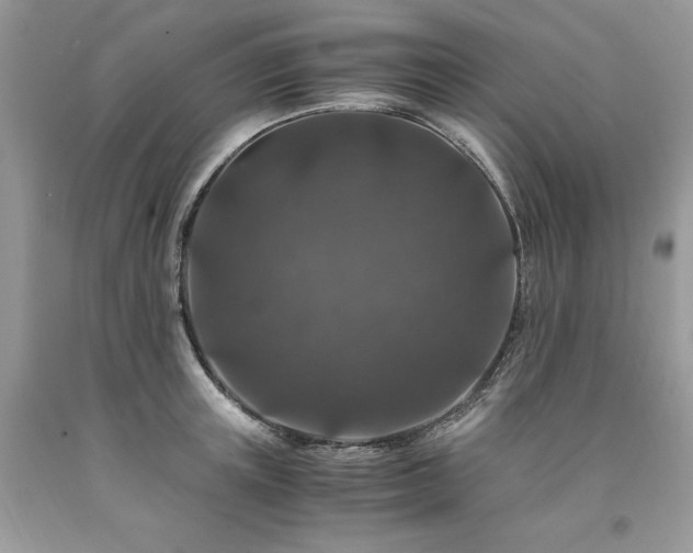 X0000094180851200710261130