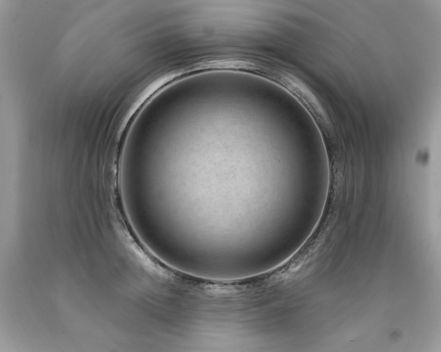 X0000094180852200710261130