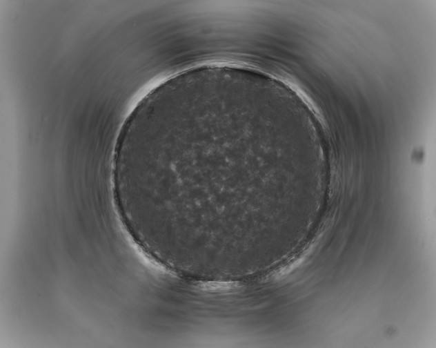 X0000094180853200710261130