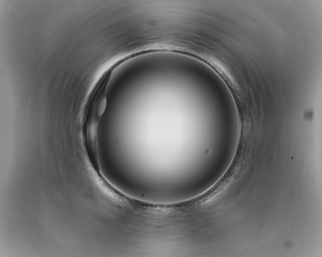X0000094180854200710261130