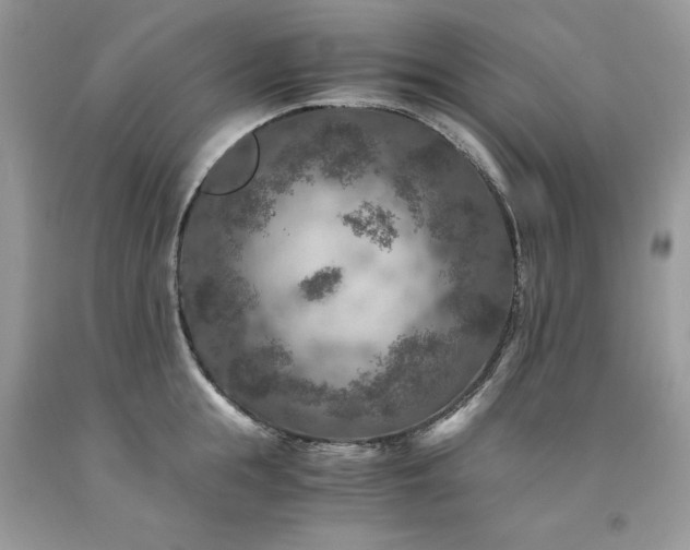 X0000094180855200710261130
