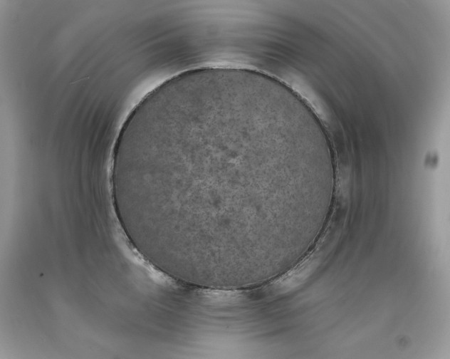 X0000094180856200710261130