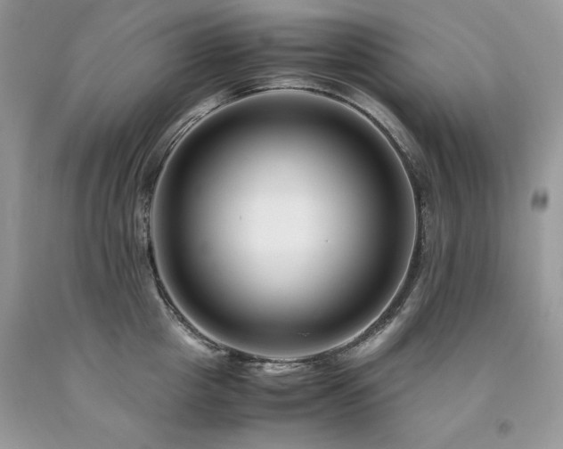X0000094180857200710261130