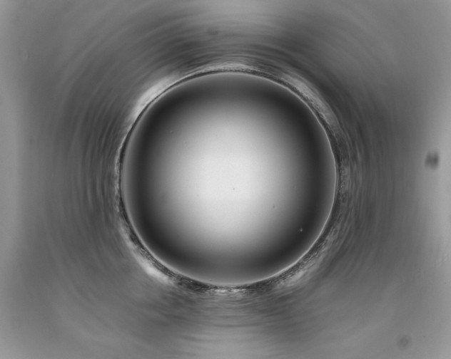 X0000094180858200710261130