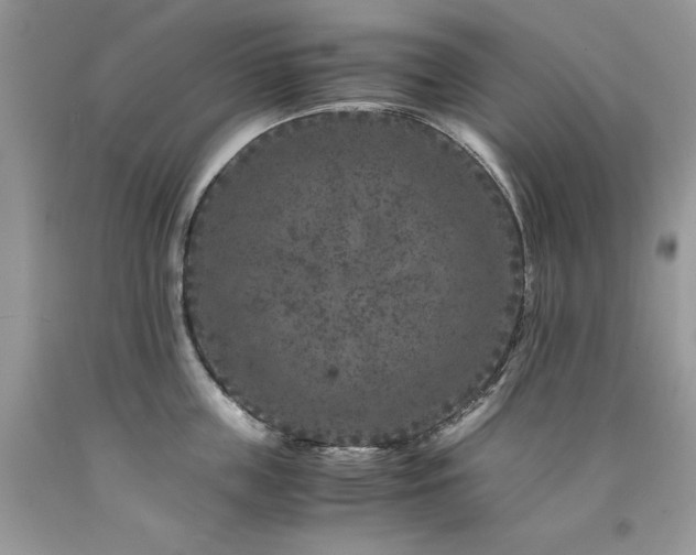 X0000094180859200710261130