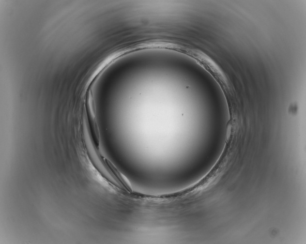 X0000094180860200710261130