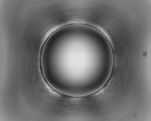 X0000094180861200710261130