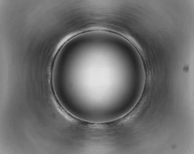 X0000094180862200710261130