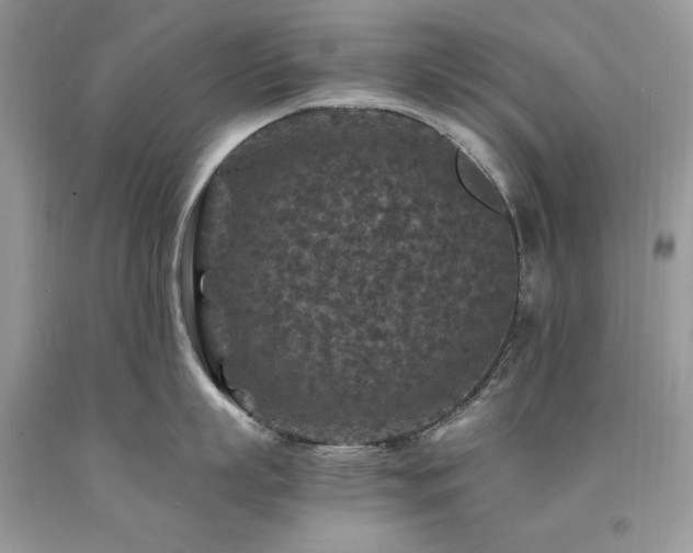 X0000094180863200710261130